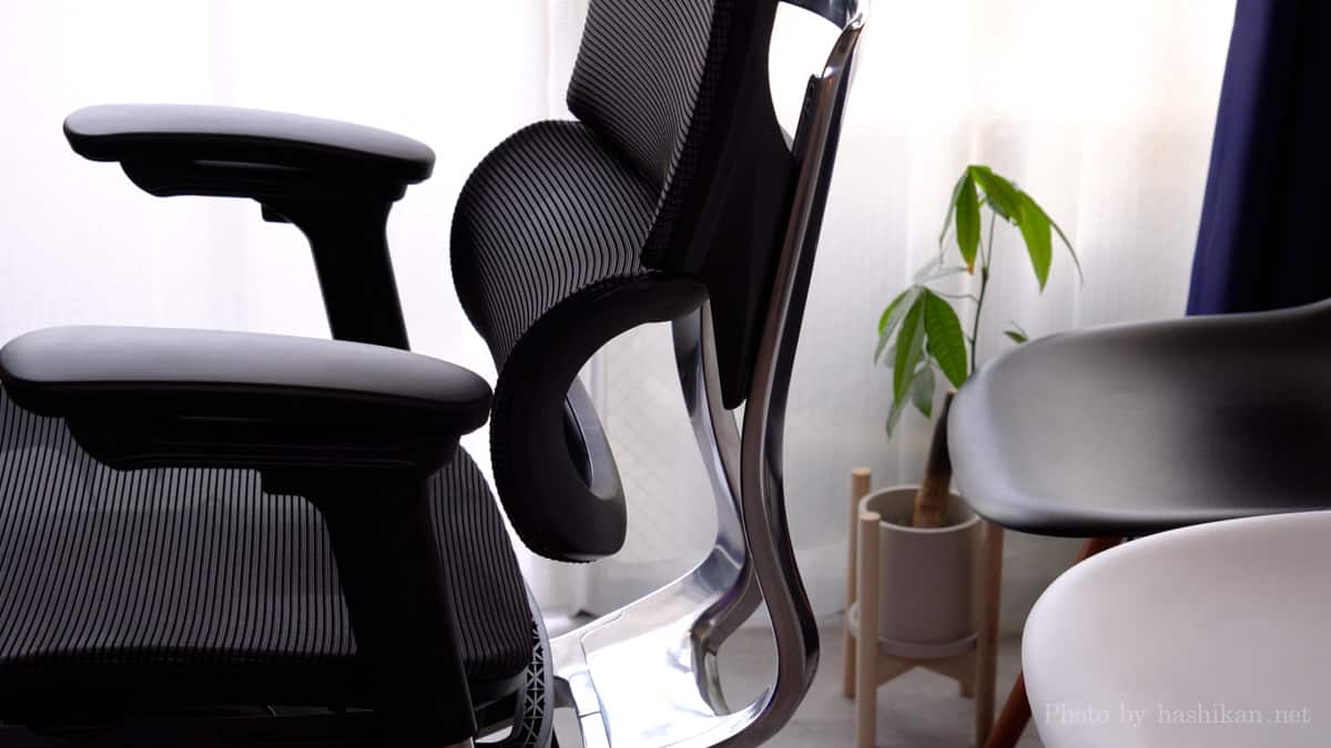 COFO Chair Premium のランバーサポート