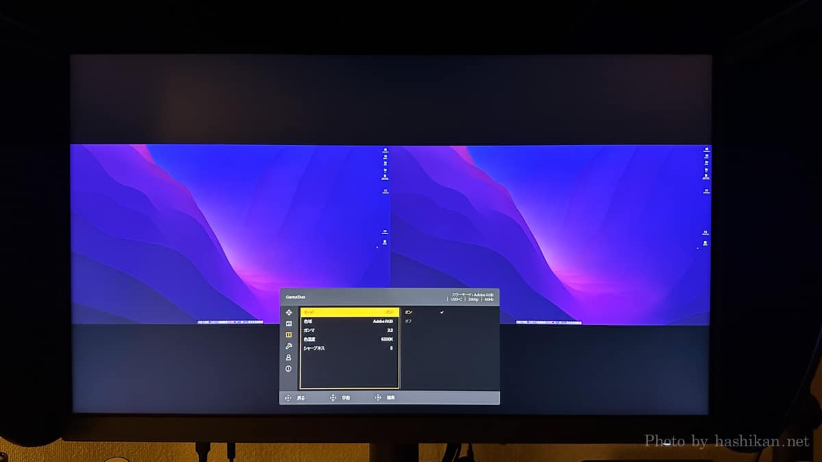 BenQ SW272U のGamutDuoをONにした状態